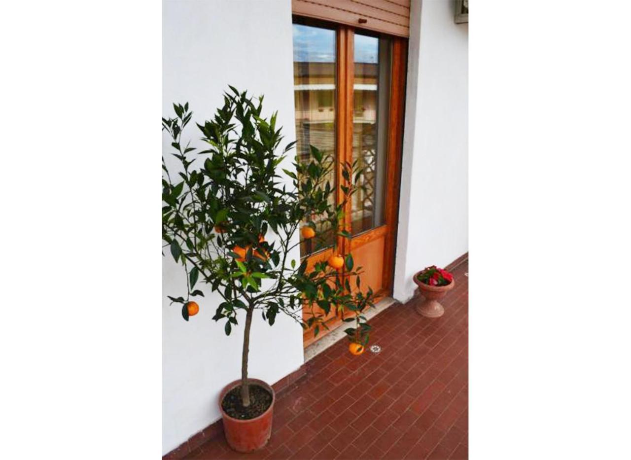 Casa Celeste Roma Exterior foto